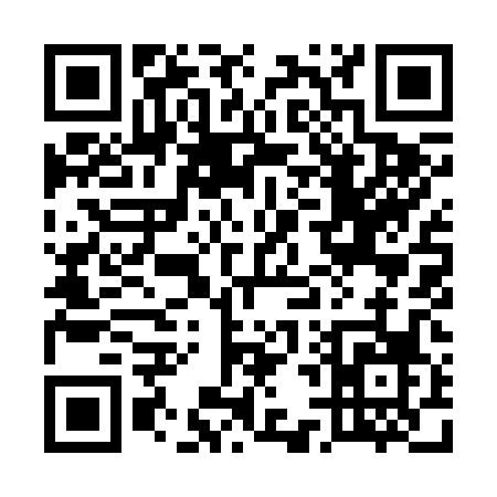 QR code for 54920