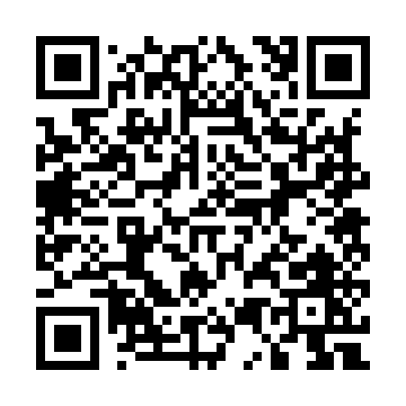 QR code for 55295