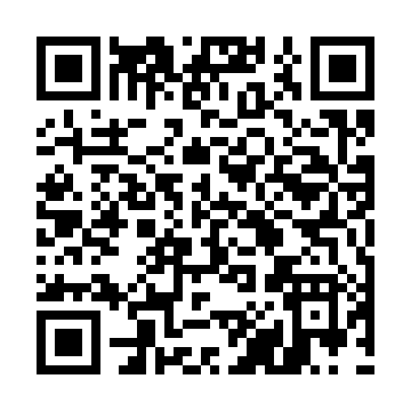 QR code for 58538