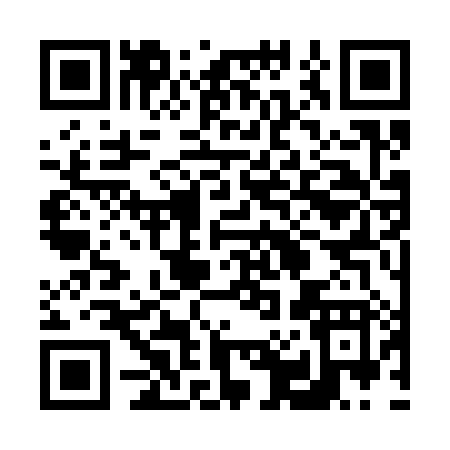 QR code for 60338