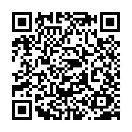 QR code for 603P