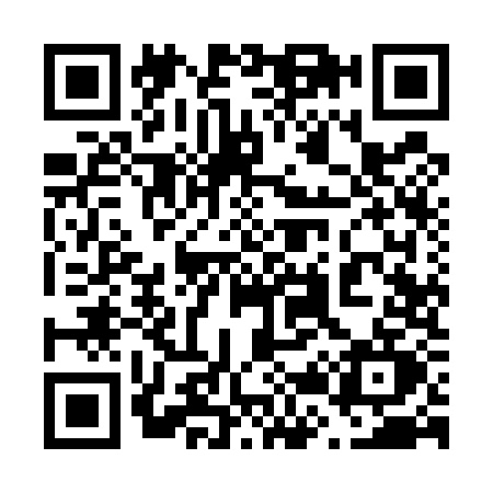 QR code for 6295