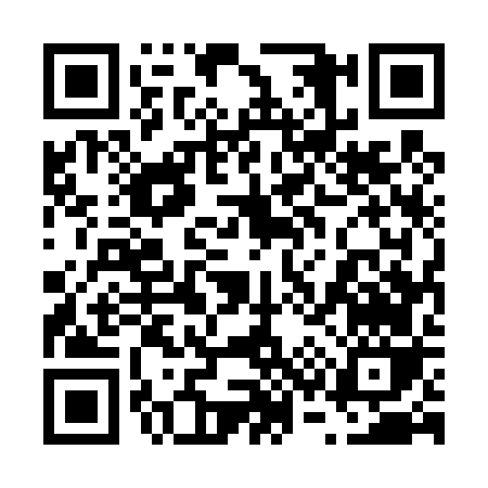 QR code for 63546
