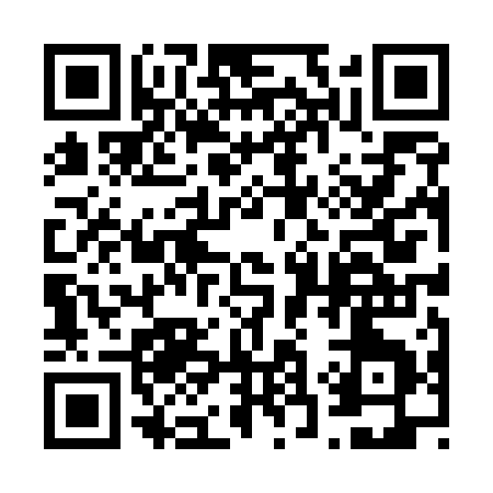 QR code for 63851