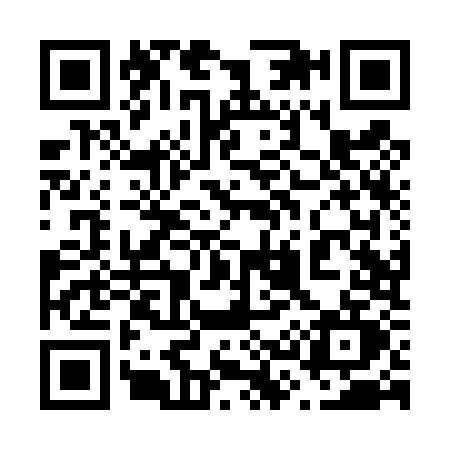 QR code for 638T