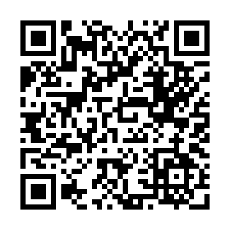 QR code for 63919