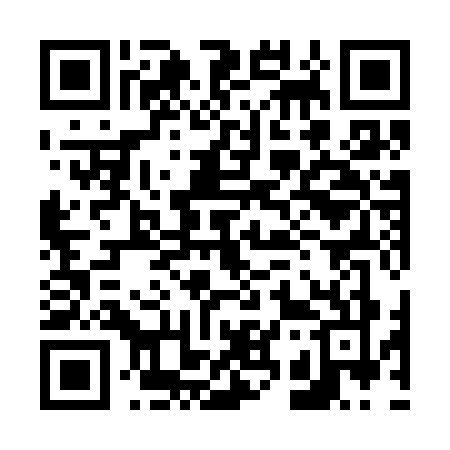QR code for 6393