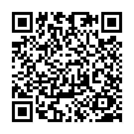QR code for 6394