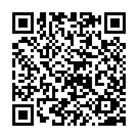 QR code for 641P