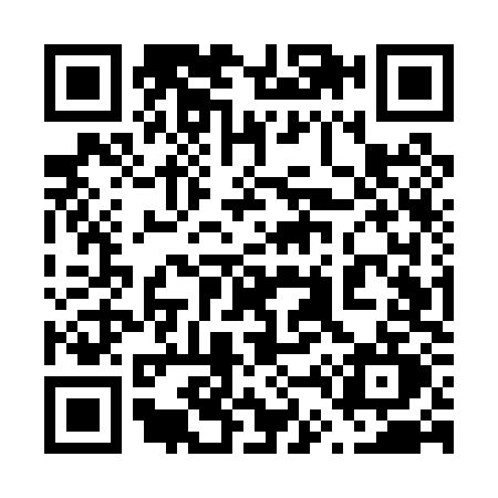 QR code for 645P