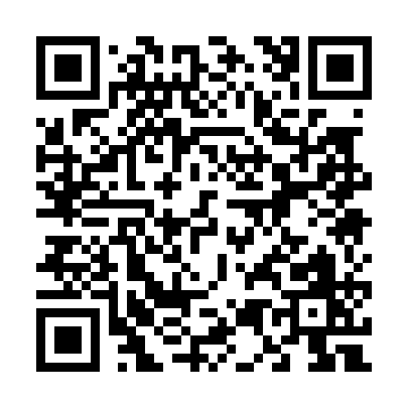 QR code for 65101