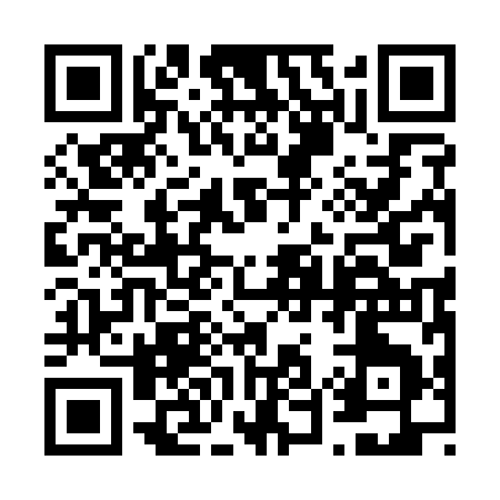 QR code for 65119