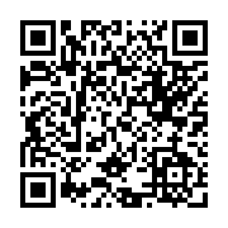 QR code for 65295