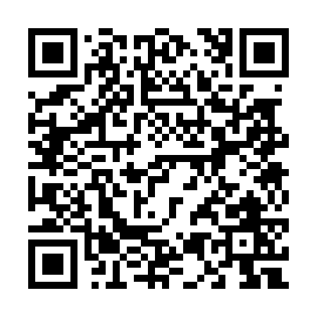 QR code for 65307