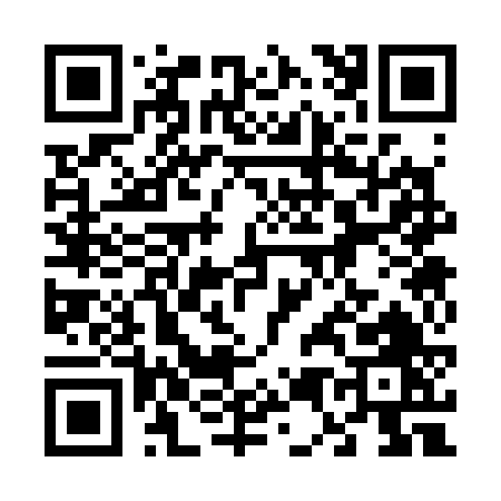 QR code for 65336