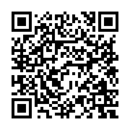 QR code for 65393