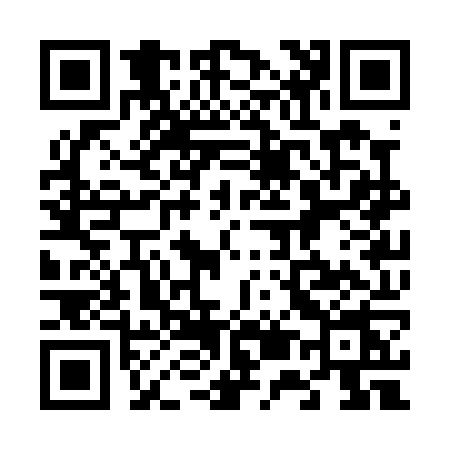 QR code for 653P