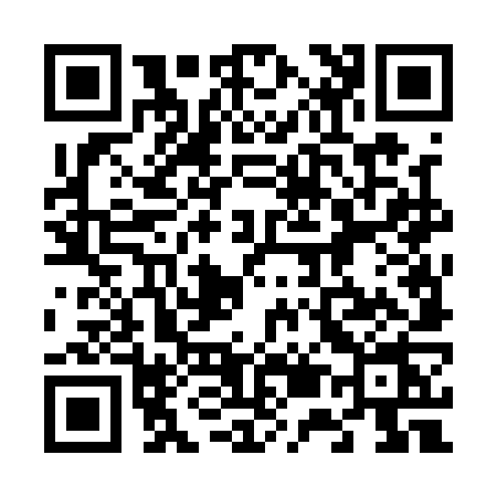 QR code for 6541