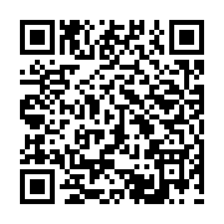 QR code for 65533