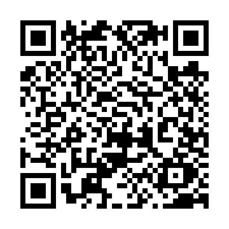 QR code for 6656