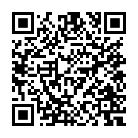 QR code for 6838Z