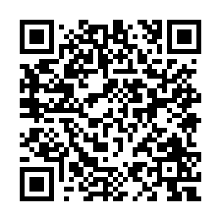 QR code for 6994Z
