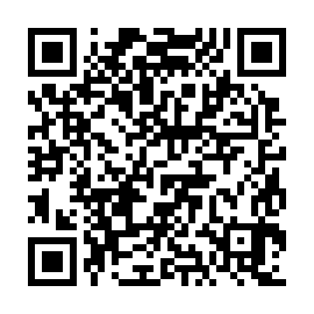 QR code for 6IC383