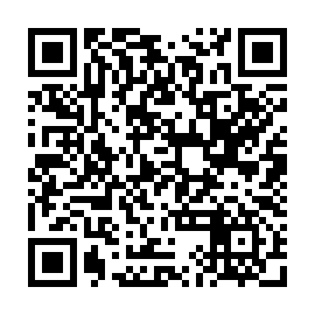 QR code for 6IC397