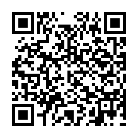 QR code for 6IM313