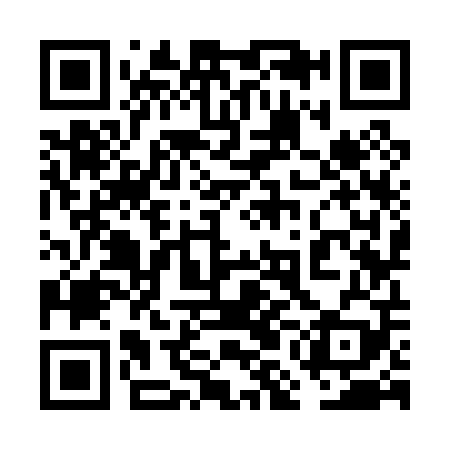 QR code for 6MK009