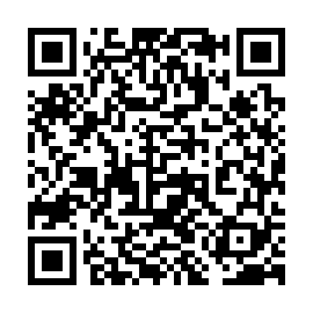 QR code for 6MM369