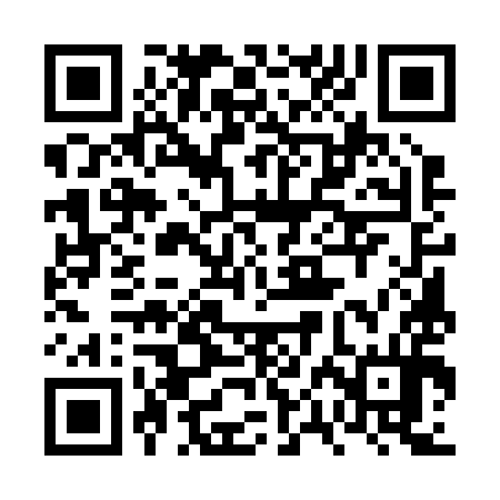 QR code for 6PE294