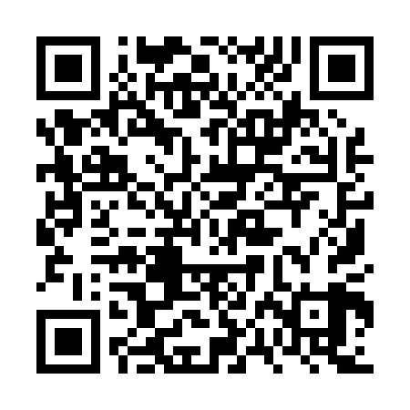 QR code for 6PI009