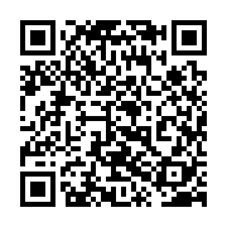 QR code for 6PI328