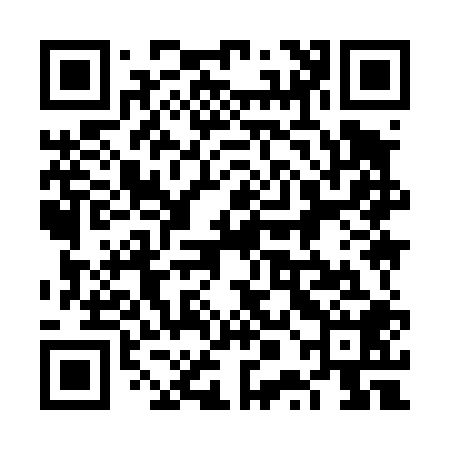 QR code for 6PI408