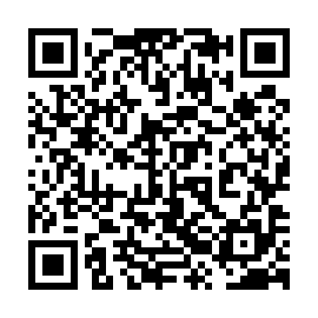 QR code for 6RO595