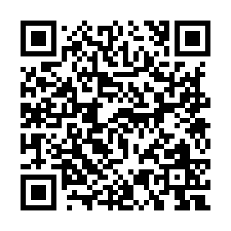 QR code for 75393