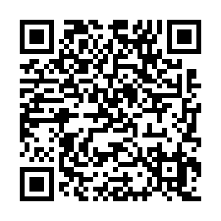 QR code for 77462