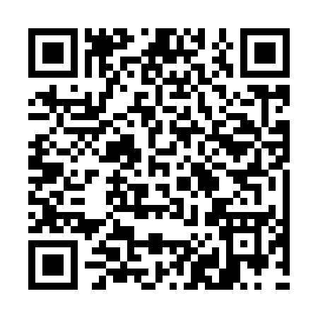 QR code for 78295