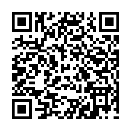 QR code for 78529