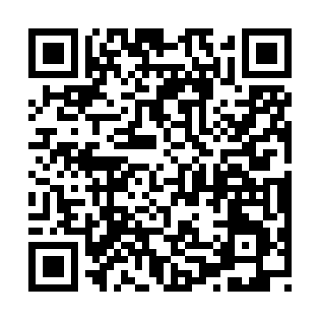 QR code for 8038T