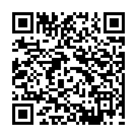 QR code for 81380