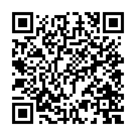 QR code for 8506P