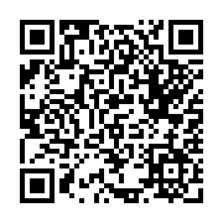 QR code for 85733
