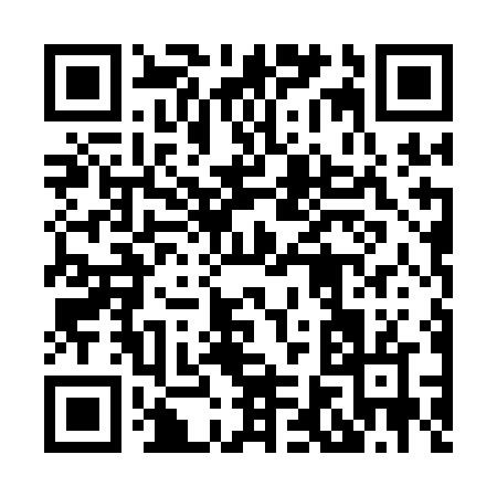 QR code for 8641N