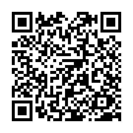 QR code for 8691