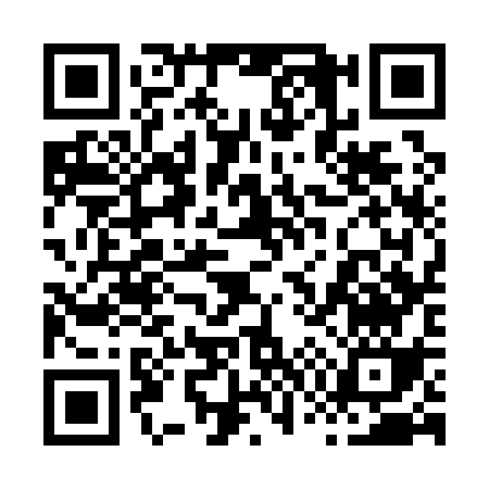 QR code for 87313
