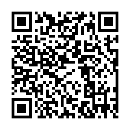 QR code for 87317