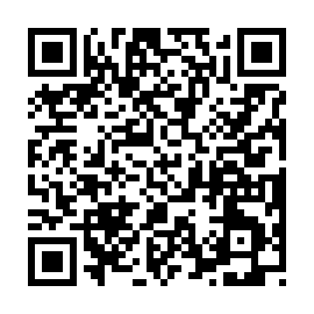QR code for 87369