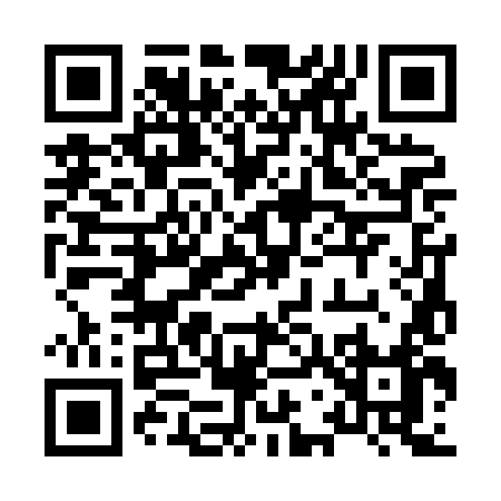 QR code for 8738L